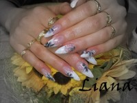 /album/nehtiky/sarka-2-jpg1/